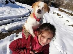 O fetiță de nouă ani și-a dus câinele bolnav în spate doi kilometri, prin zăpadă, pentru a ajunge la veterinar, în Turcia