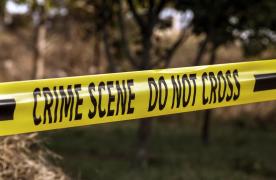 Şi-a ucis copilul şi l-a aruncat în pădure. Mama-criminală, arestată la un an de la crimă, în Anglia