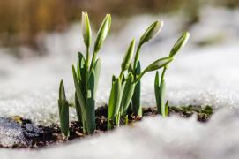 Vremea 5 martie. Temperaturile încep să scadă accentuat în unele zone. Prognoza meteo pentru Capitală