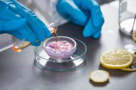 (P) Au început înscrierile la INOVALIMENT 2021, târgul unde aflăm cum să trăim mai mult și mai bine