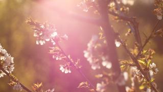 prognoza meteo 12 aprilie