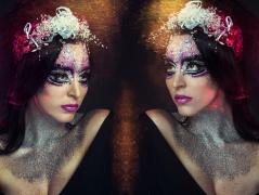 Semn zodiacal Gemeni