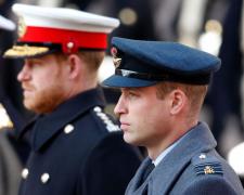 Prințul William și fratele său Harry, fotografiați în 2019