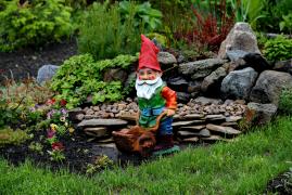 Imagine ilustrativă