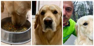 Dieta propusă de Andrei Roşu, primită cu scepticism de fanii acestuia