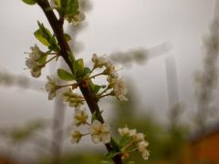 Vremea 22 aprilie. Temperaturile sunt în ușoară creștere. Vântul va sufla slab şi moderat