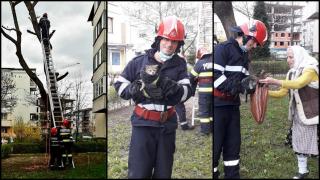 pisică salvată de pompieri