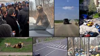 Top săptămânal al ştirilor Fii Observator