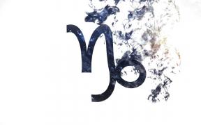 Semnul zodiei Capricorn