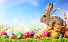 Imagine ilustrativă