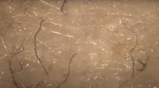 Misterul viermilor din masca de protecţie a fost elucidat de fizicianul Cristian Presură