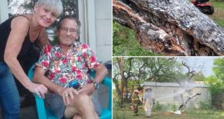Un bărbat din Texas a fost ucis de albine, în timp ce tundea iarba