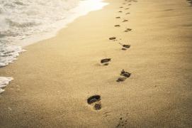 urme de pași pe nisip