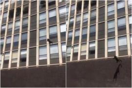 Momentul în care pisica neagră a aterizat, în siguranță