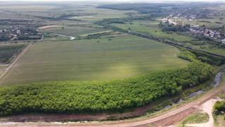 Redirecționează 2% din impozitul pe venit către Asociația MaiMultVerde