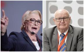 Viorica Dăncilă și Ioan Mircea Pașcu