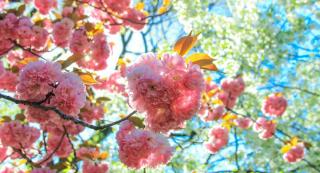 Vremea 25 mai. Temperaturile vor fi mai ridicate pentru această perioadă, dar instabilitatea atmosferică îşi va face simţită prezenţa