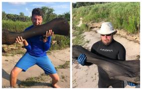Descoperire epocală făcută de doi scafandri din Florida: Au dat peste osul uriaş al unui mamut, vechi de peste 100.000 de ani