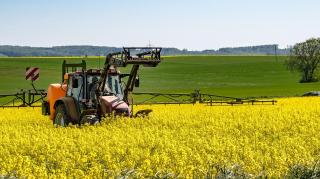tractor în lan cu rapiță