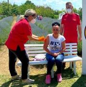 Imagini impresionante în Timiș. Românii se pot vaccina în lanul de lavandă