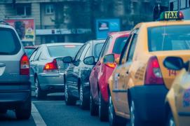 Rovinieta poate fi cumpărată de la CEC direct din aplicația de mobile banking