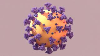 Un expert chinez susține că originile COVID-19 ar trebui căutate în SUA. De ce îi suspectează chinezii pe americani