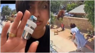 Adolescenta din SUA, care a alungat cu mâinile goale un urs pentru a-și salva câinii, reacţionează: A trebuit să-mi protejez copii