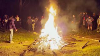 Petrecere uriaşă oprită în forţă de poliţişti, în Franţa. Un tânăr a rămas fără o mână, după ce a ridicat de pe jos o grenadă