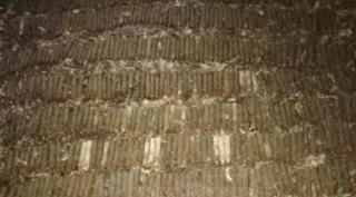 Un bărbat din Suceava a plecat la cules de ciuperci şi a găsit un adevărat arsenal din Al Doilea Război Mondial