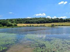 Un adolescent din Sălaj a murit înecat după ce s-a dus la scăldat. Salvatorii au folosit bărci cu somar, dar l-au găsit abia după 3 ore de căutări