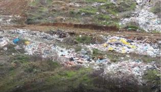 Străzile şi mai multe spaţii verzi din Bucureşti au ajuns să se umple cu gunoaie