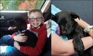 Bryson şi patrupedul său, Bruce