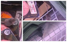 Șoarece surprins în vitrina unui hypermarket din București: „Oare îi era foame sau s-a oferit pe post de hamburger?” Reacția companiei