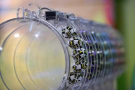 LOTO 6/49 - joi 15 iulie 2021. Numerele câștigătoare la extragerea de astăzi