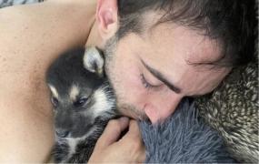 Jake Adams a jucat în peste 700 de filme pentru adulţi în cinci ani