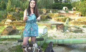 Prezentatoare TV din Anglia, muşcată de un pinguin în direct: "Au. Nu sunt peşte"