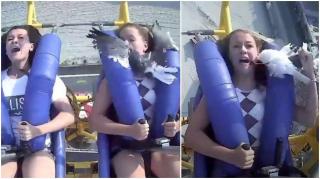 Momentul în care o adolescentă este lovită în față de un pescăruș, în timpul plimbării cu una dintre atracţiile parcului de distracţii, în SUA