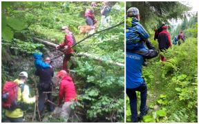 Șase turiști străini, printre care o familie cu doi copii mici, recuperați după ce s-au rătăcit noaptea trecută în Munții Rodnei
