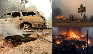 155 de kilometri pătraţi de vegetaţie făcută scrum