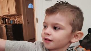 Un băiețel de 4 ani, dat dispărut, a fost găsit mort în cutia pentru jucării din camera sa, în SUA