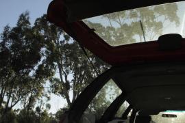 Cei doi copii găsiți morți în mașina mătușii lor