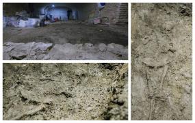 Descoperire uluitoare şi neaşteptată în centrul Clujului: Mormânt neolitic plin de comori arheologice