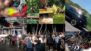 Top ştiri -  Fii Observator