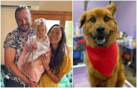 Tineri părinţi, fiica și câinele, găsiți morți într-o zonă de drumeții îndepărtată