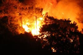 Sute de turişti au fost evacuaţi în urma incendiilor devastatoare