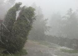 Alertă meteo de ploi, grindină şi vijelii puternice. Cod portocaliu în 20 de judeţe, până joi dimineaţă