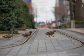 Imagine ilustrativă