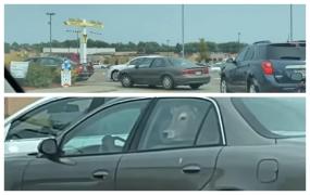 Viralul săptămânii: S-a dus cu vaca la fast-food, pe bancheta din spate a maşinii, în SUA: „Am crezut că nu e real. Apoi am văzut că se mişcă"