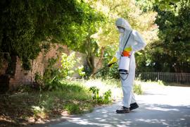 Autorităţile din Sectorul 4 cer măsuri împotriva căpuşelor şi şobolanilor din şcoli. Primăria Capitalei nu ar mai avea bani de tratamente