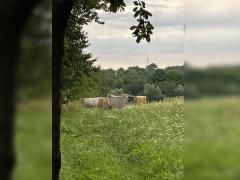 rulota în care locuia bărbatul de 70 de ani.